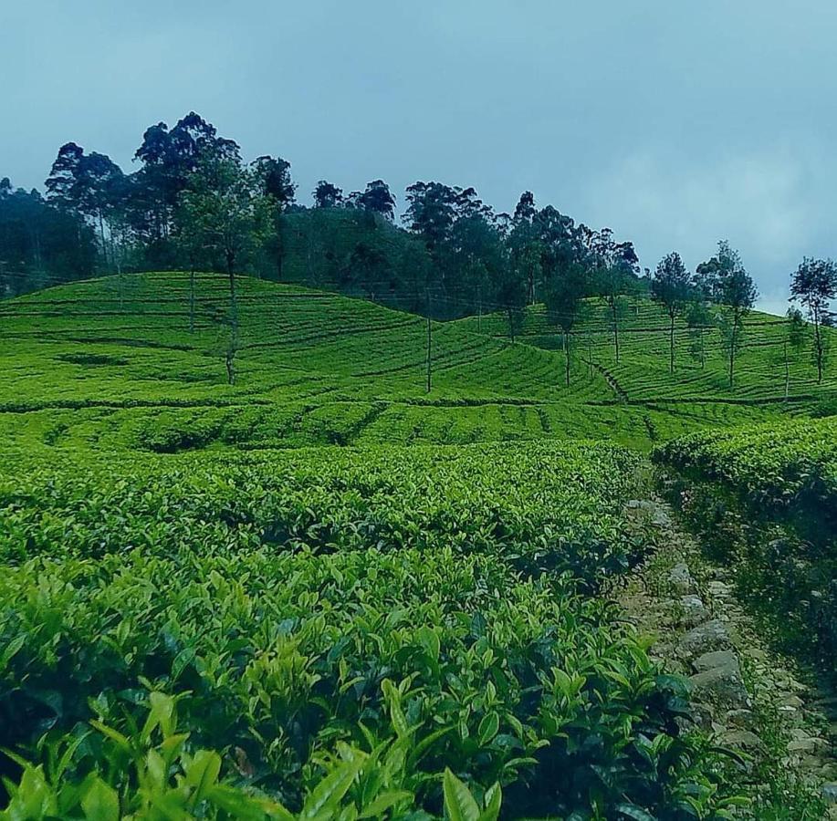 Golden Villa Kandy - "Free Pickup From Kandy " エクステリア 写真